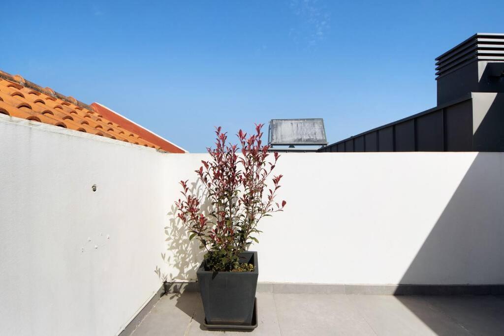 Sao Roque Sweet Burgo Apartment Aveiro Bagian luar foto